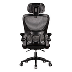 Furnny 808 Ergonomic Mesh Office Chair High Back Desk Chair with 3D Adjustable Headrest