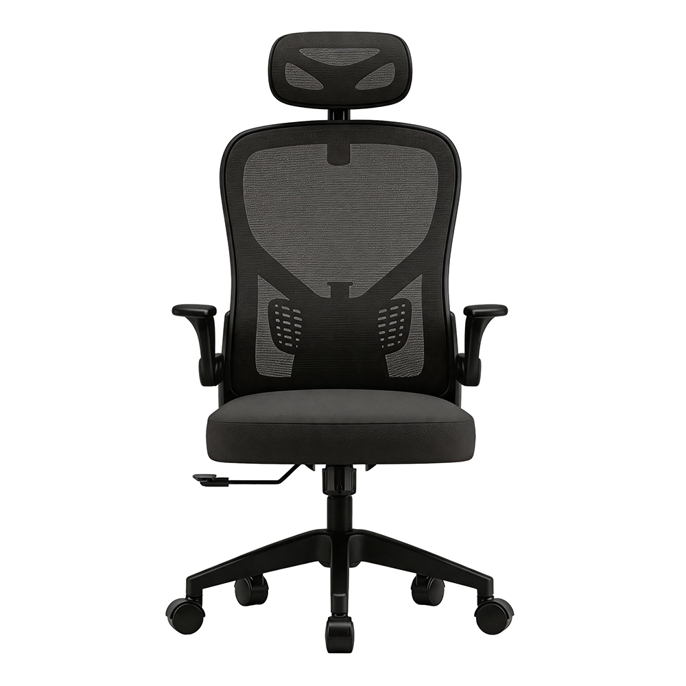 Furnny T06 Office Chair with Adjustable headrest/lumbar/90° flip-up armrests