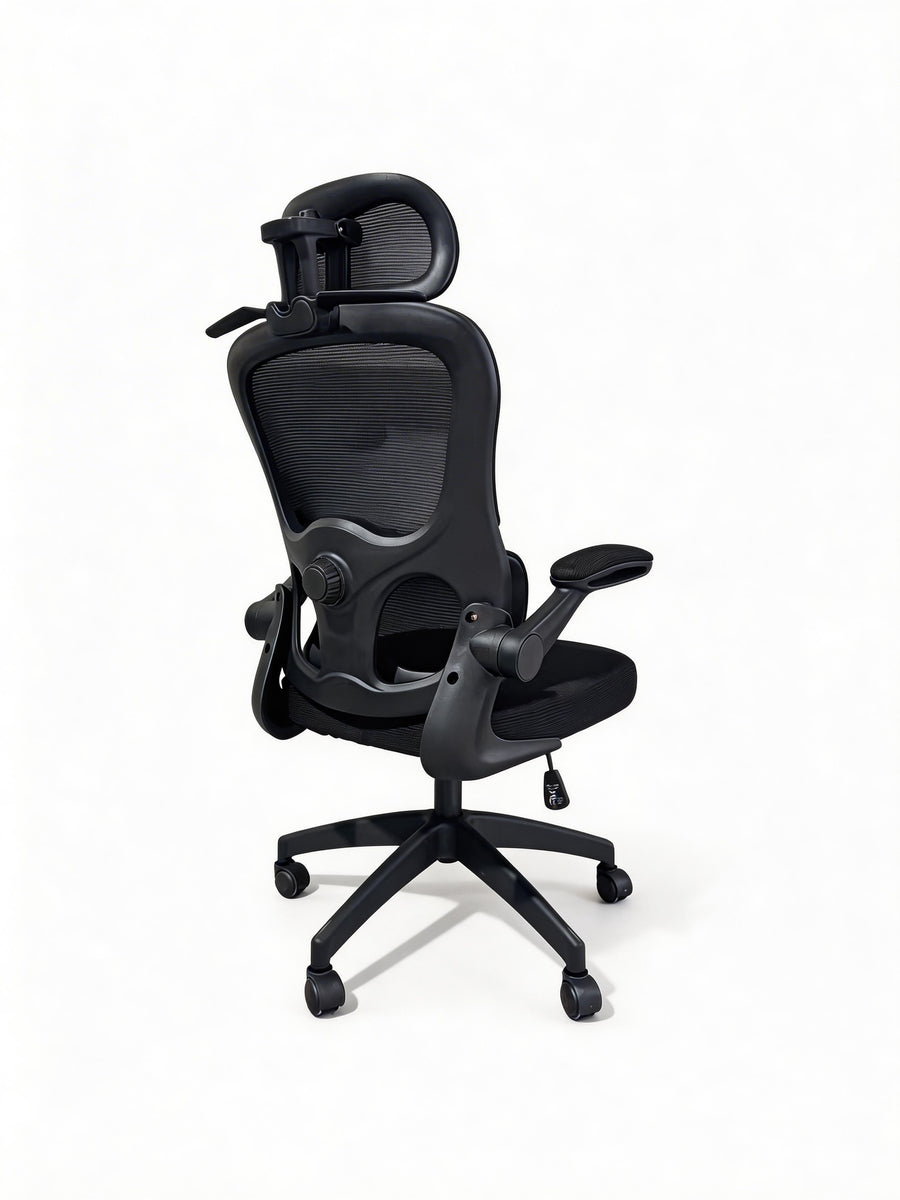 Furnny 969 Ergonomic Office Chair with Adjustable Dual Lumbar Support