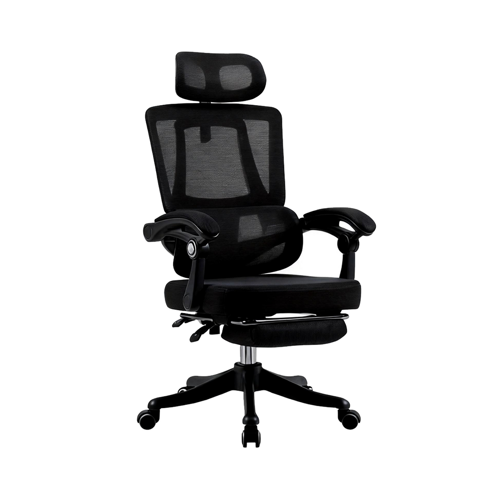 Furnny 8805 Ergonomic Office Chair with Footrest and 3-Level Adjustable Lumbar Support