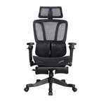 Furnny E956 Ergonomic Office Chair 8D Armrest/Dual-Zone Adaptive & Adjustable Lumbar