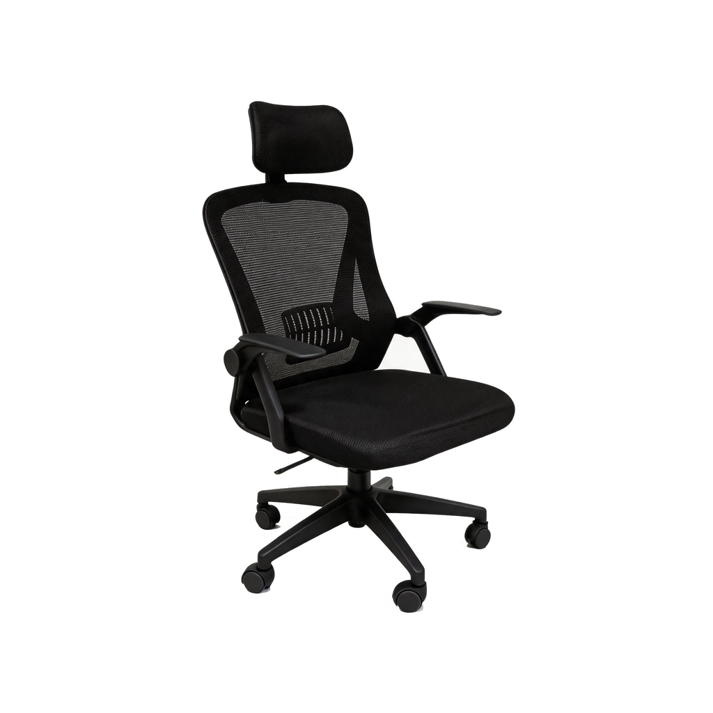 Furnny 219 Rock back Office Chair with Adjustable headrest/90° flip-up armrests