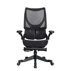 Furnny E958 Ergonomic Office Chair 4-Level Back Height/Dual-Zone Adaptive Lumbar