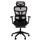 Furnny E19 Ergonomic Office Chair 3-Level Adjustable Lumbar Support 3D Armrest