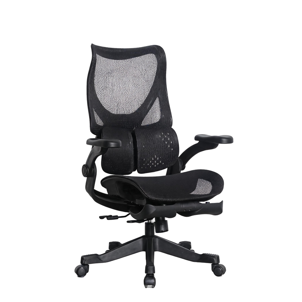 Furnny E958 Ergonomic Office Chair 4-Level Back Height/Dual-Zone Adaptive Lumbar