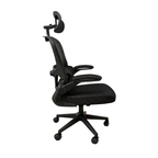 Furnny 969 Ergonomic Office Chair with Adjustable Dual Lumbar Support