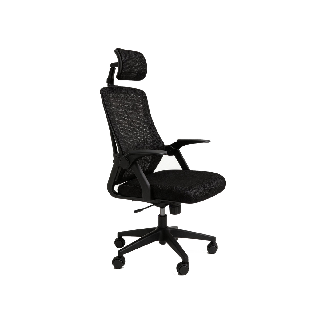 Furnny 219 Rock back Office Chair with Adjustable headrest/90° flip-up armrests
