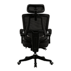 Furnny 8805 Ergonomic Office Chair with Footrest and 3-Level Adjustable Lumbar Support