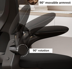Furnny Ergonomic Mesh Office Chair High Back Desk Chair with 3D Adjustable Headrest