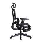 Furnny E956 Ergonomic Office Chair 8D Armrest/Dual-Zone Adaptive & Adjustable Lumbar