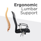 Furnny Ergonomic High-Back Office Chair - Black