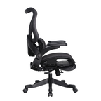 Furnny E958 Ergonomic Office Chair 4-Level Back Height/Dual-Zone Adaptive Lumbar