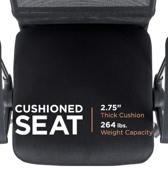 Furnny Ergonomic High-Back Office Chair - Black