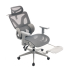 Furnny E18 Ergonomic Office Chair with 3 Zone 3 Level Adjustable Lumbar Support/3D Armrest