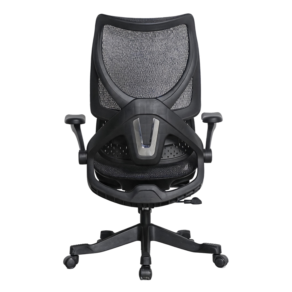 Furnny E958 Ergonomic Office Chair 4-Level Back Height/Dual-Zone Adaptive Lumbar