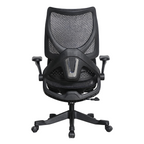 Furnny E958 Ergonomic Office Chair 4-Level Back Height/Dual-Zone Adaptive Lumbar
