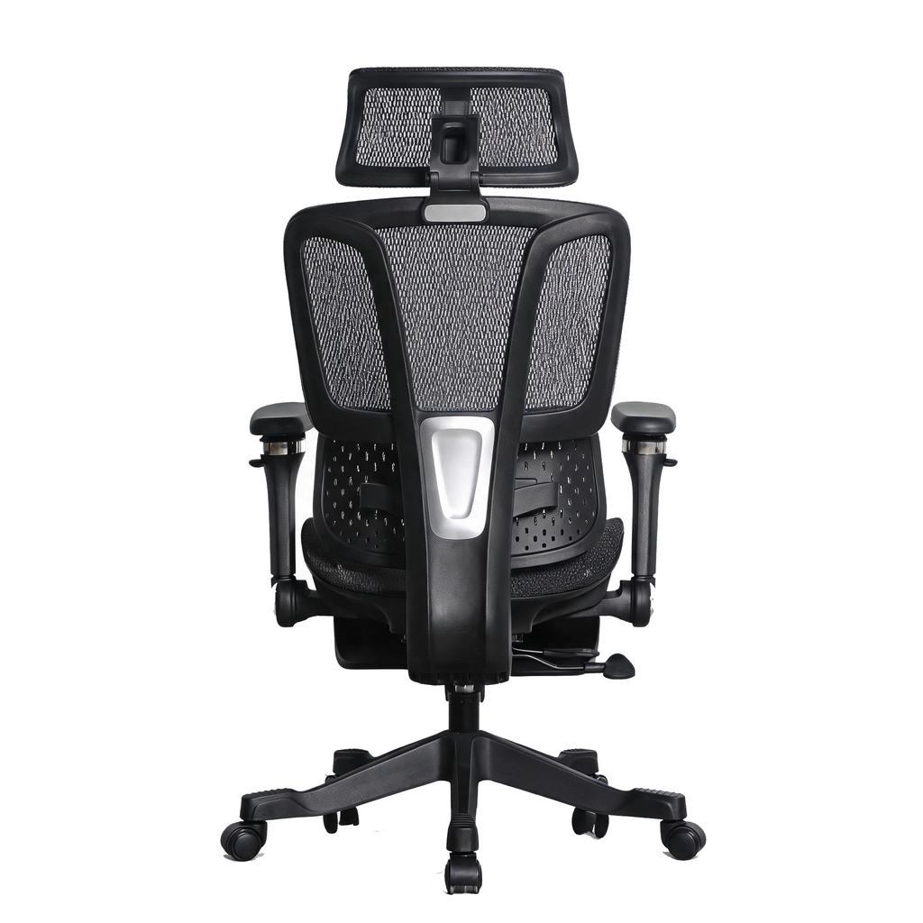 Furnny E956 Ergonomic Office Chair 8D Armrest/Dual-Zone Adaptive & Adjustable Lumbar