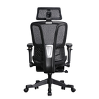 Furnny E956 Ergonomic Office Chair 8D Armrest/Dual-Zone Adaptive & Adjustable Lumbar