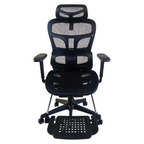 Furnny E19 Ergonomic Office Chair 3-Level Adjustable Lumbar Support 3D Armrest