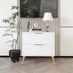 Furnny WD Modern 2 Drawer Bedside Table Nightstand with Gold Metal Legs