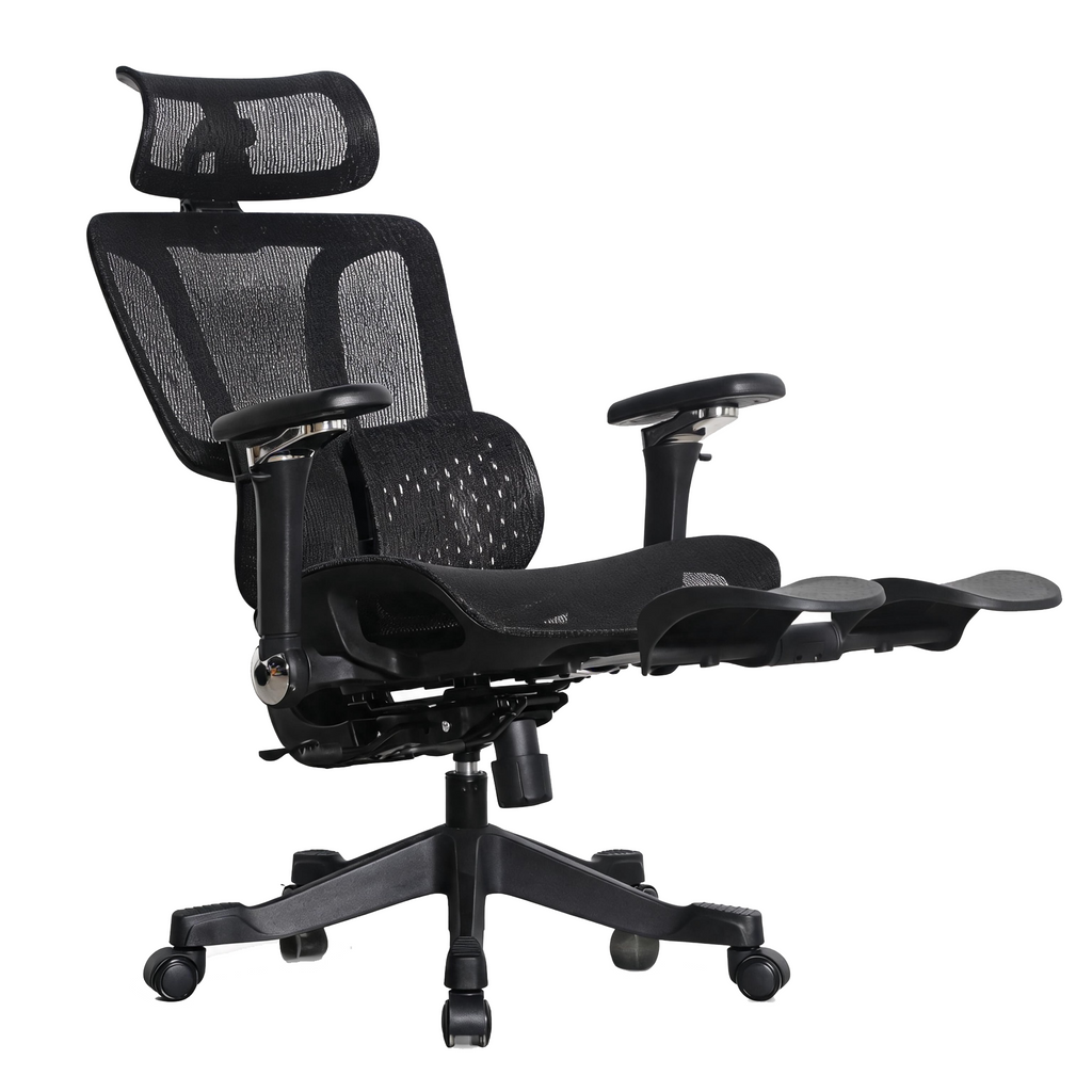 Furnny E956 Ergonomic Office Chair 8D Armrest/Dual-Zone Adaptive & Adjustable Lumbar