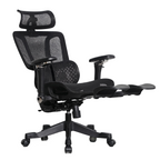 Furnny E956 Ergonomic Office Chair 8D Armrest/Dual-Zone Adaptive & Adjustable Lumbar