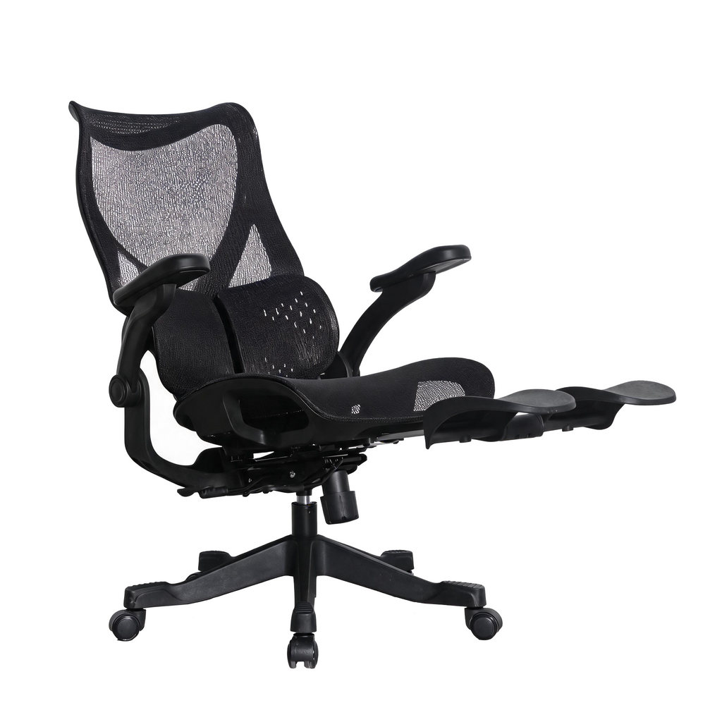 Furnny E958 Ergonomic Office Chair 4-Level Back Height/Dual-Zone Adaptive Lumbar