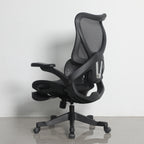 Furnny E958 Ergonomic Office Chair 4-Level Back Height/Dual-Zone Adaptive Lumbar