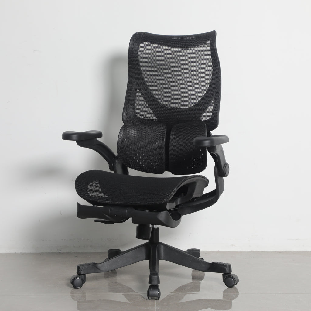 Furnny E958 Ergonomic Office Chair 4-Level Back Height/Dual-Zone Adaptive Lumbar