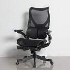 Furnny E958 Ergonomic Office Chair 4-Level Back Height/Dual-Zone Adaptive Lumbar