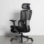 Furnny E956 Ergonomic Office Chair 8D Armrest/Dual-Zone Adaptive & Adjustable Lumbar