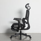 Furnny E956 Ergonomic Office Chair 8D Armrest/Dual-Zone Adaptive & Adjustable Lumbar