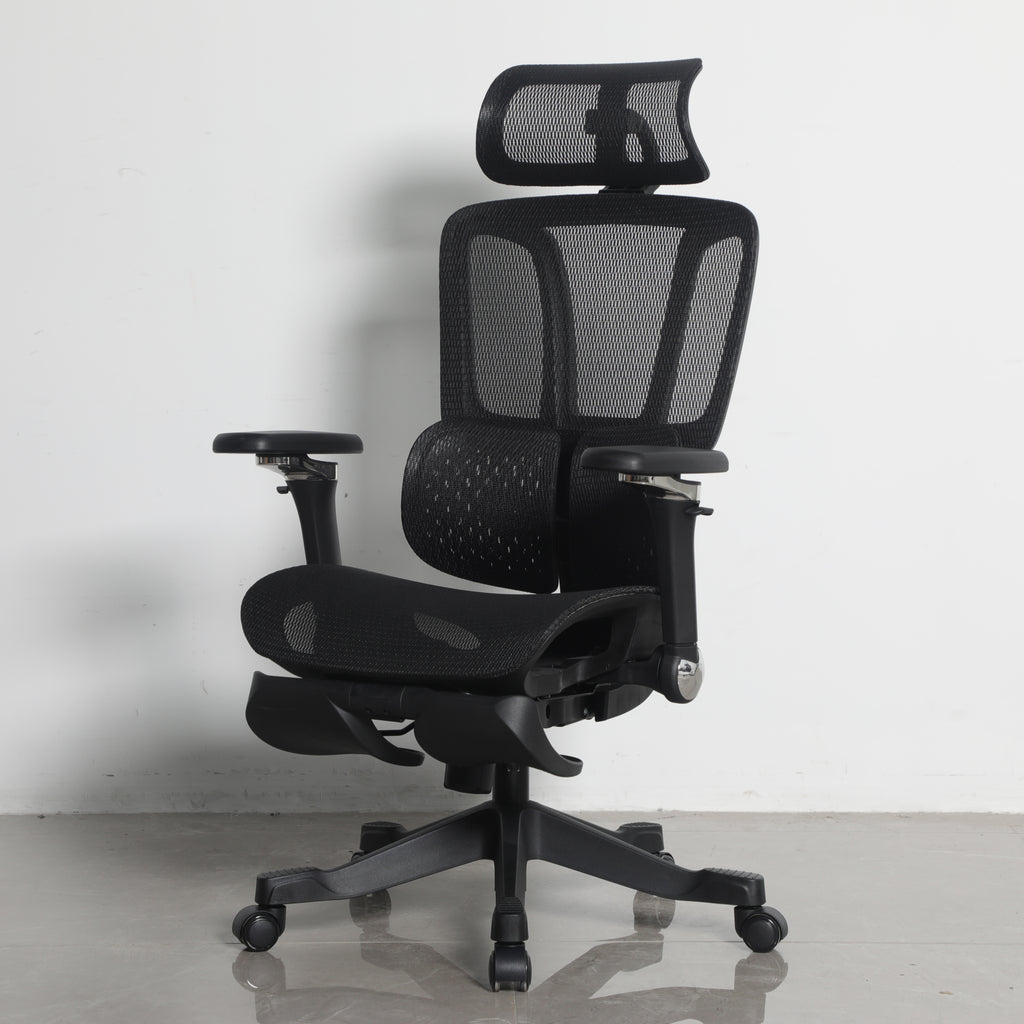 Furnny E956 Ergonomic Office Chair 8D Armrest/Dual-Zone Adaptive & Adjustable Lumbar