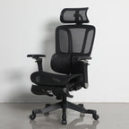 Furnny E956 Ergonomic Office Chair 8D Armrest/Dual-Zone Adaptive & Adjustable Lumbar