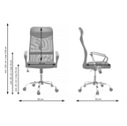 Furnny Ergonomic High-Back Office Chair - Black