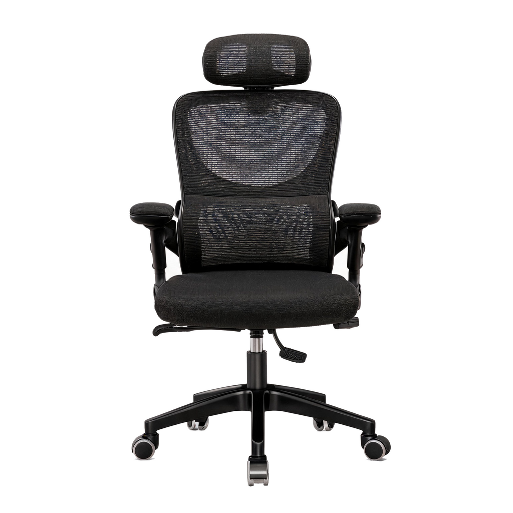 Furnny 808 Ergonomic Mesh Office Chair High Back Desk Chair with 3D Adjustable Headrest