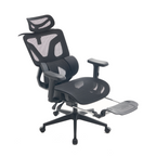 Furnny E18 Ergonomic Office Chair with 3 Zone 3 Level Adjustable Lumbar Support/3D Armrest