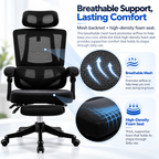 Furnny 8805 Ergonomic Office Chair with Footrest and 3-Level Adjustable Lumbar Support